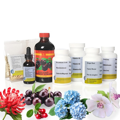 [NIERENKUR] Nierenkur komplett gemäss Dr. Hulda Clark (mit Vitamin B6 21 mg)